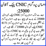 8171 Check Online CNIC