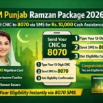 CM Punjab Ramzan Package 2026
